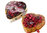 Feigenbrot mit Cranberrys und Schokolade - Think Mediterranean 250g